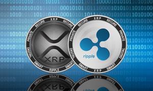 What Is Ripple (XPR) - Everything You Need To Know, what is ripple, Where can you buy XRP, Which wallet to save XRP?, Banks Support Ripple, Uses of the Ripple 