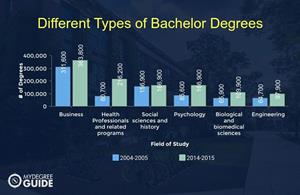 Types of bachelor degree, bachelor degree programs, bachelor degrees offered, BSc degree