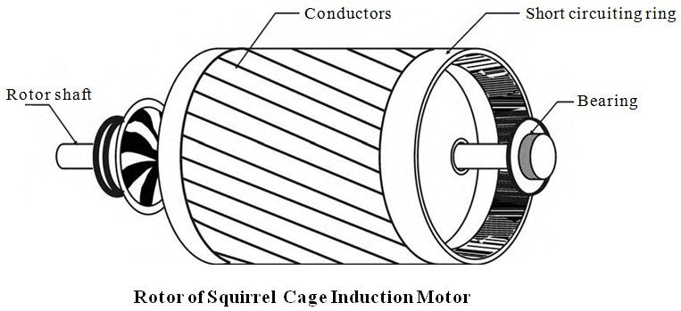 Squirrel cage induction motor applications