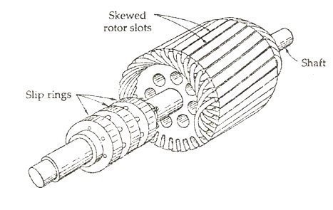 Induction principle motor working cage squirrel What is