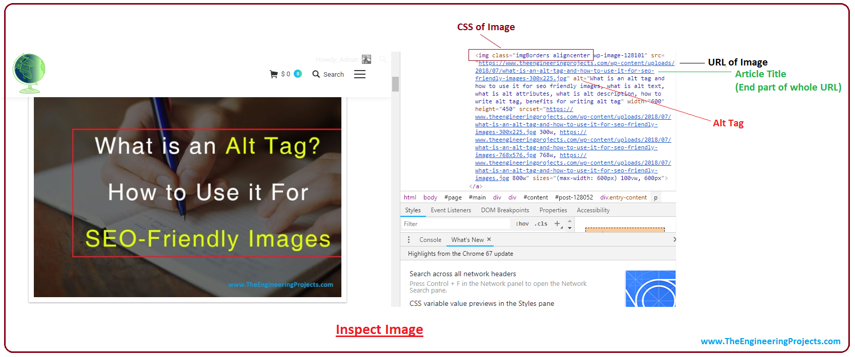 What is an Alt Tag? How to use it for SEO-Friendly Images - The