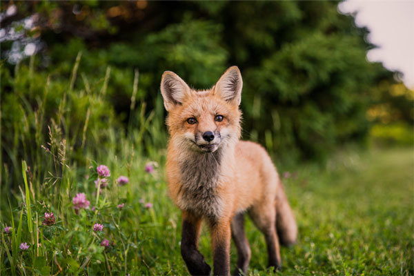 Apps Are Saving Lives in the Wilderness