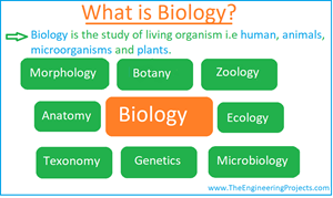 Biology, What is Biology, Biology Definition, Biology Branches, Biology Books, Biology Scientists, Biologists, Biology meaning