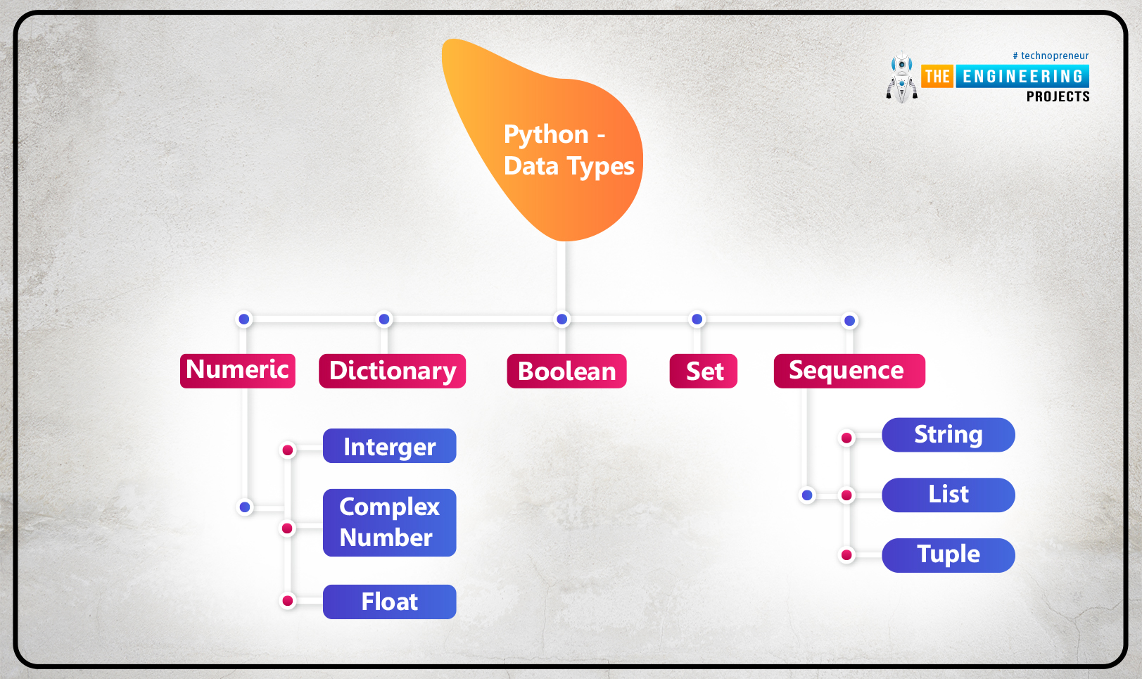 Python information kind the design projects servamega